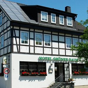 Hotel Grüner Baum